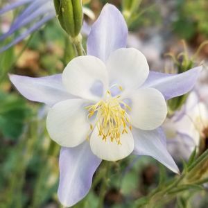 Meet your Posher, Jane